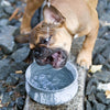 Laboni Soapstone Dog & Cat Bowl Rocky Pet Bowls, Feeders & Waterers Laboni Silver Circle Pets