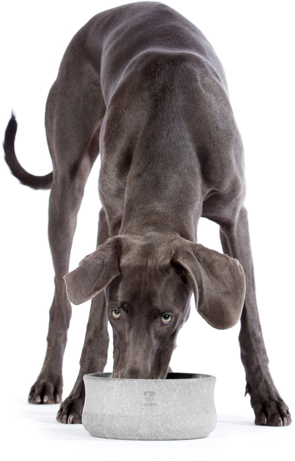 Laboni Soapstone Dog & Cat Bowl Rocky Pet Bowls, Feeders & Waterers Laboni Silver Circle Pets