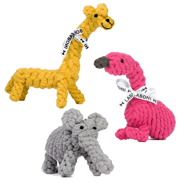 Laboni Summer Safari Dog Toy Set Dog Toys Laboni Silver Circle Pets