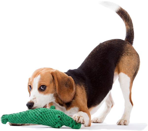 Laboni Wildlife Dog Toy Set Dog Toys Laboni Silver Circle Pets