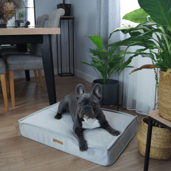 MISSOGNO Charm Orthopaedic Rectangle Dog Bed Pet Bed MISSOGNO Silver Circle Pets