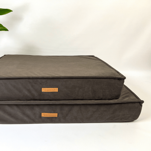 MISSOGNO Charm Orthopaedic Rectangle Dog Bed Pet Bed MISSOGNO Silver Circle Pets