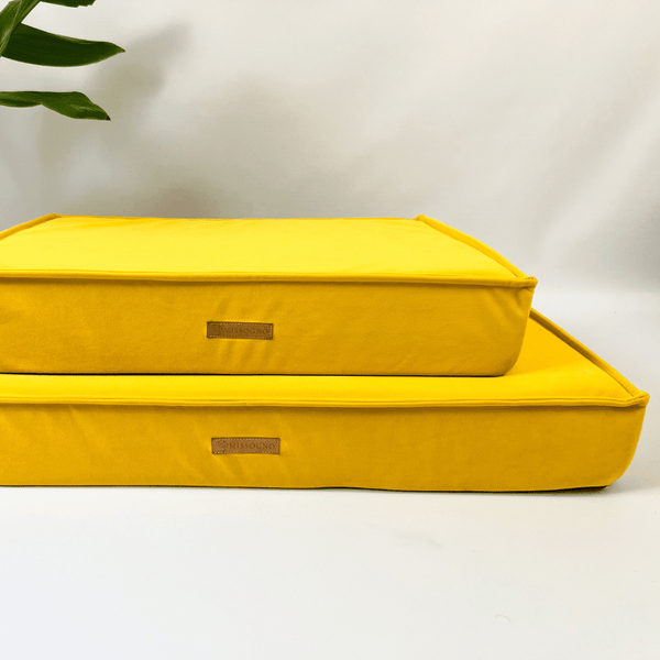 MISSOGNO Charm Orthopaedic Rectangle Dog Bed Pet Bed MISSOGNO Silver Circle Pets