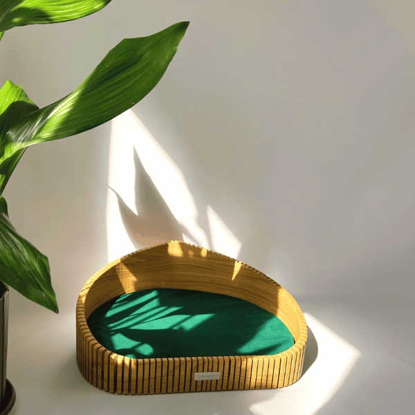 MISSOGNO Hoya Oak Orthopaedic Pet Bed Pet Bed MISSOGNO Silver Circle Pets