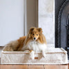 MISSOGNO Prestige Orthopaedic Boucle Rectangle Dog Bed Pet Bed MISSOGNO Silver Circle Pets