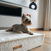 MISSOGNO Prestige Orthopaedic Boucle Rectangle Dog Bed Pet Bed MISSOGNO Silver Circle Pets