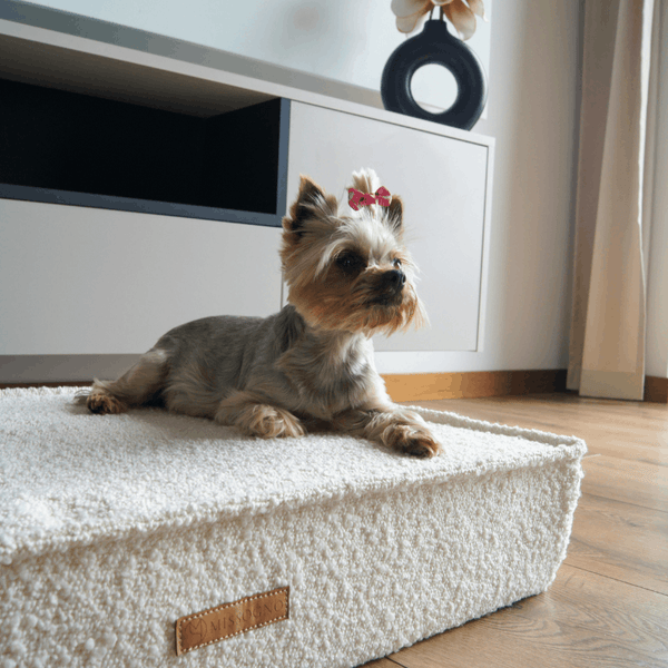 MISSOGNO Prestige Orthopaedic Boucle Rectangle Dog Bed Pet Bed MISSOGNO Silver Circle Pets