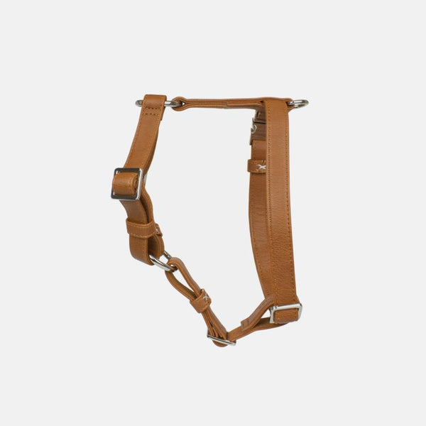 Neula Confidence Vegan Leather Dog Harness Walk Set Harness & Leash Set Neula Silver Circle Pets