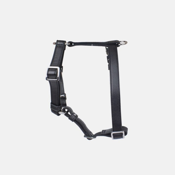 Neula Courage Vegan Leather Dog Harness Walk Set Harness & Leash Set Neula Silver Circle Pets