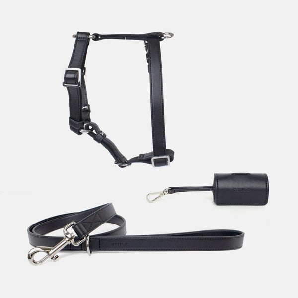 Neula Courage Vegan Leather Dog Harness Walk Set Harness & Leash Set Neula Silver Circle Pets