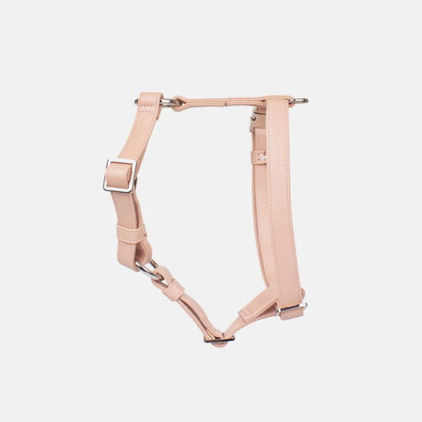 Neula Kindness Vegan Leather Dog Harness Walk Set Harness & Leash Set Neula Silver Circle Pets