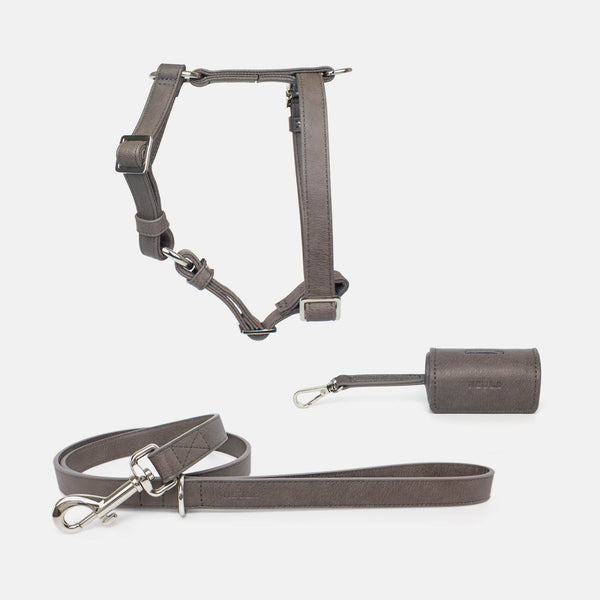 Neula Strength Vegan Leather Dog Harness Walk Set Collar & Leash Set Neula Silver Circle Pets