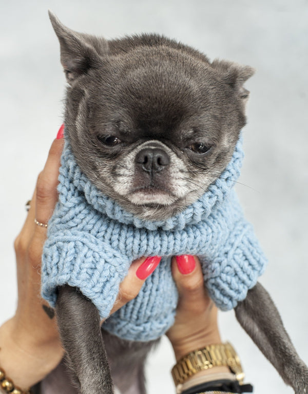 Oh Charlie BeBe’s Dog Sweater Dog Jumper Oh Charlie Silver Circle Pets