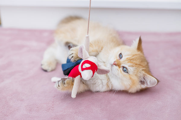 Oh Charlie Cat Toy Cat Toys Oh Charlie Silver Circle Pets