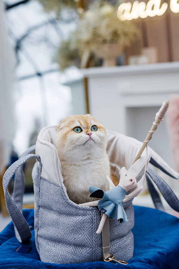 Oh Charlie Cat Toy Cat Toys Oh Charlie Silver Circle Pets