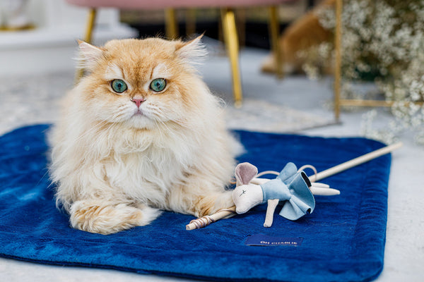 Oh Charlie Cat Toy Cat Toys Oh Charlie Silver Circle Pets