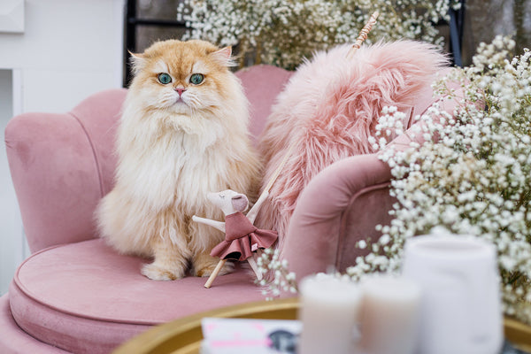 Oh Charlie Cat Toy Cat Toys Oh Charlie Silver Circle Pets