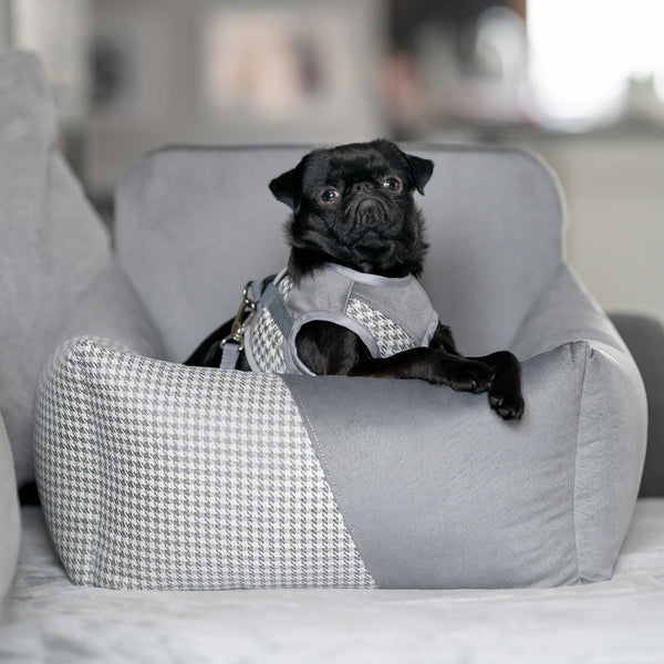 Oh Charlie Dog Car Seat Modern Finessa Dog Car Seat Oh Charlie Silver Circle Pets