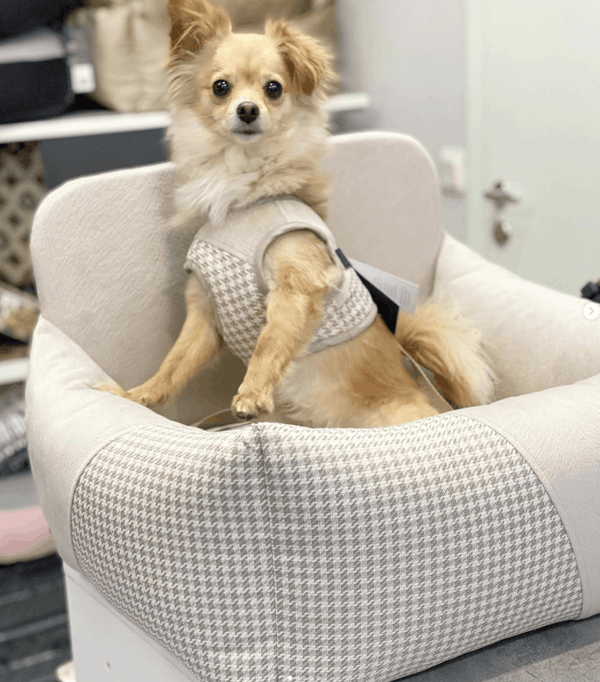 Oh Charlie Dog Car Seat Modern Finessa Dog Car Seat Oh Charlie Silver Circle Pets