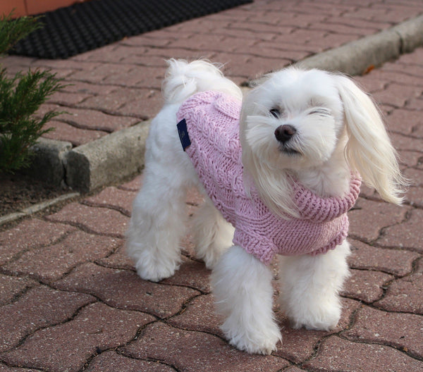 Oh Charlie Dog Sweater Precious Dog Jumper Oh Charlie Silver Circle Pets