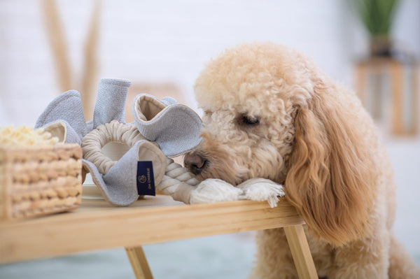 Oh Charlie Dog Toy Boho Dog Toys Oh Charlie Silver Circle Pets