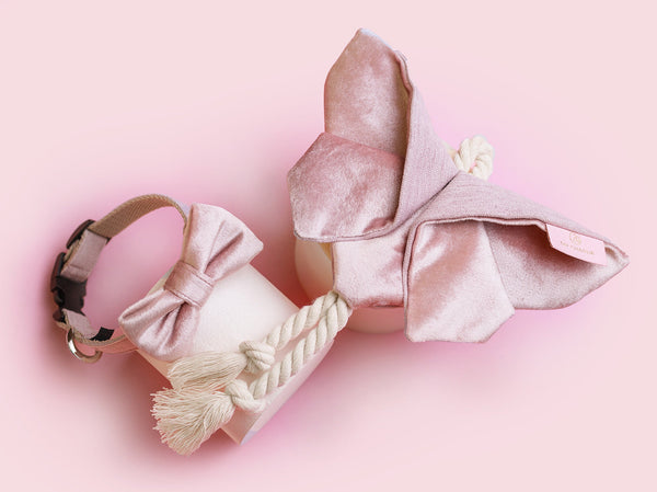 Oh Charlie Dog Toy Butterfly LaPerla Dog Toys Oh Charlie Silver Circle Pets