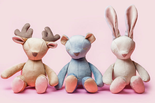 Oh Charlie Dog Toy Dog Toys Oh Charlie Silver Circle Pets