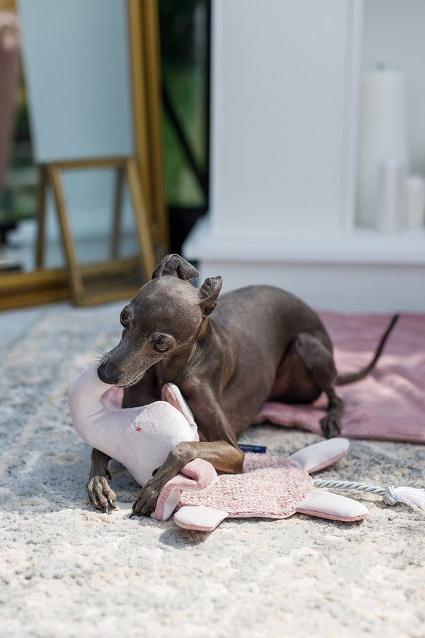 Oh Charlie Dog Toy Elephant Dog Toys Oh Charlie Silver Circle Pets