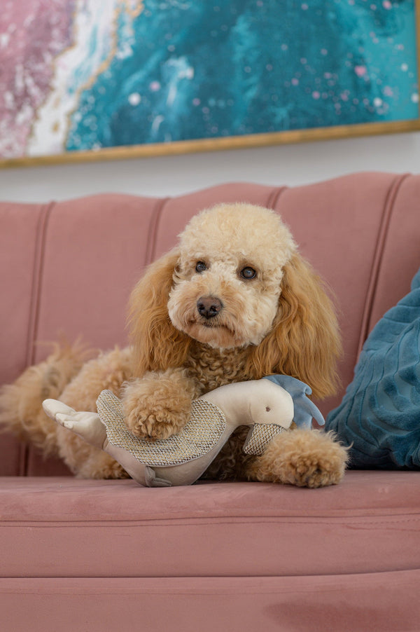 Oh Charlie Dog Toy Parrot Zoe Dog Toys Oh Charlie Silver Circle Pets