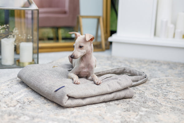 Oh Charlie Dog Travel Mat Florence Dog Bed Oh Charlie Silver Circle Pets