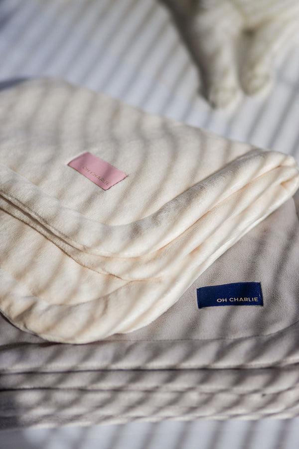 Oh Charlie Pet Blanket Magic Pet Blanket Oh Charlie Silver Circle Pets