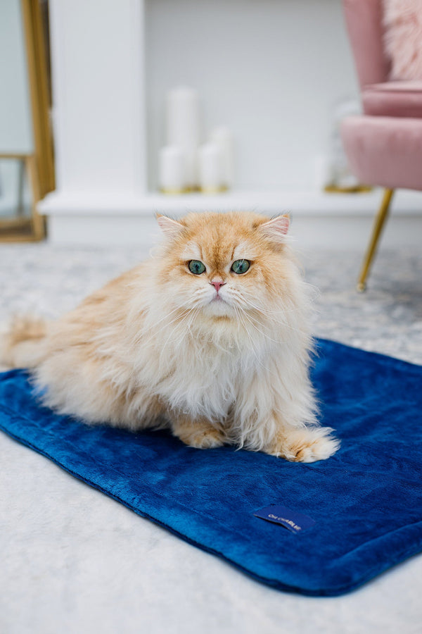 Oh Charlie Pet Blanket Magic Pet Blanket Oh Charlie Silver Circle Pets