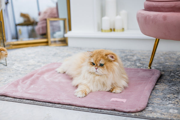 Oh Charlie Pet Blanket Magic Pet Blanket Oh Charlie Silver Circle Pets