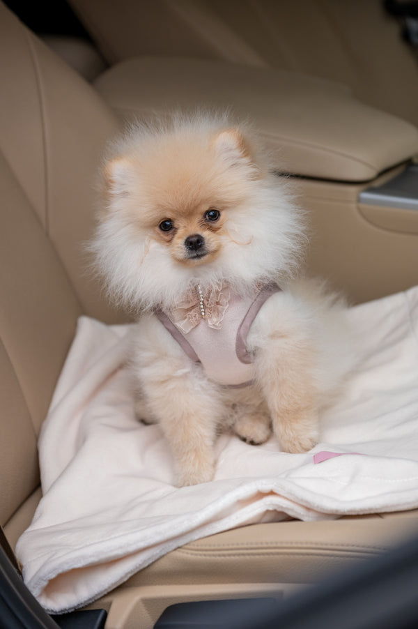 Oh Charlie Pet Blanket Magic Pet Blanket Oh Charlie Silver Circle Pets