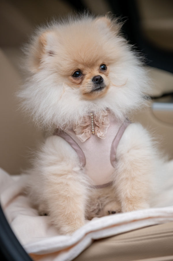 Oh Charlie Pet Blanket Magic Pet Blanket Oh Charlie Silver Circle Pets