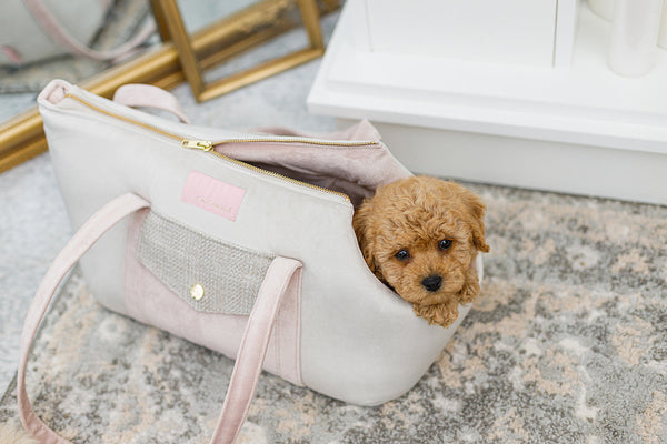 Oh Charlie Pet Carrier Essence Dog Car Seat Oh Charlie Silver Circle Pets