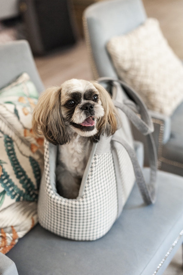 Oh Charlie Pet Carrier Finessa Dog Car Seat Oh Charlie Silver Circle Pets