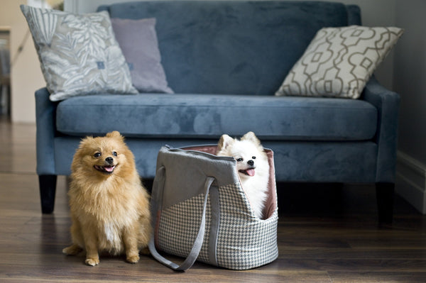 Oh Charlie Pet Carrier Finessa Dog Car Seat Oh Charlie Silver Circle Pets