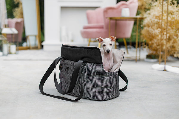 Oh Charlie Pet Carrier Hudson Dog Car Seat Oh Charlie Silver Circle Pets