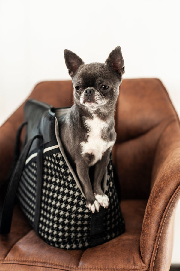 Oh Charlie Pet Carrier Prestige Dog Car Seat Oh Charlie Silver Circle Pets