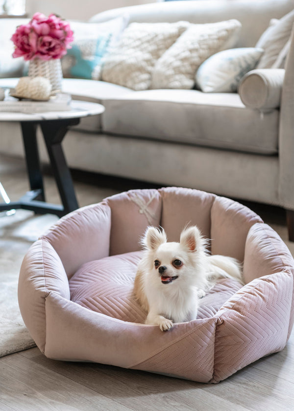 Oh Charlie Round Dog Bed Blissy Dog Bed Oh Charlie Silver Circle Pets