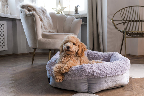 Oh Charlie Round Dog Bed Charlotte Dog Bed Oh Charlie Silver Circle Pets