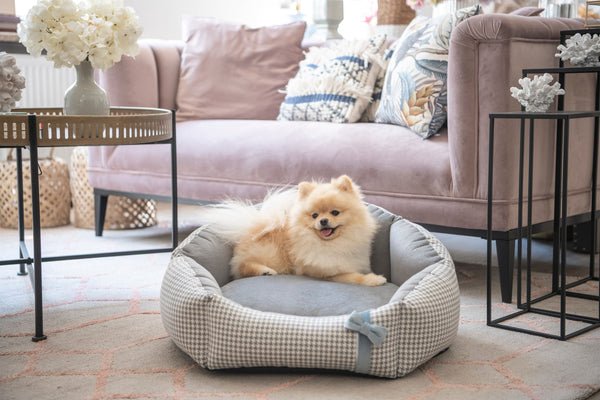 Oh Charlie Round Dog Bed Finessa Dog Bed Oh Charlie Silver Circle Pets