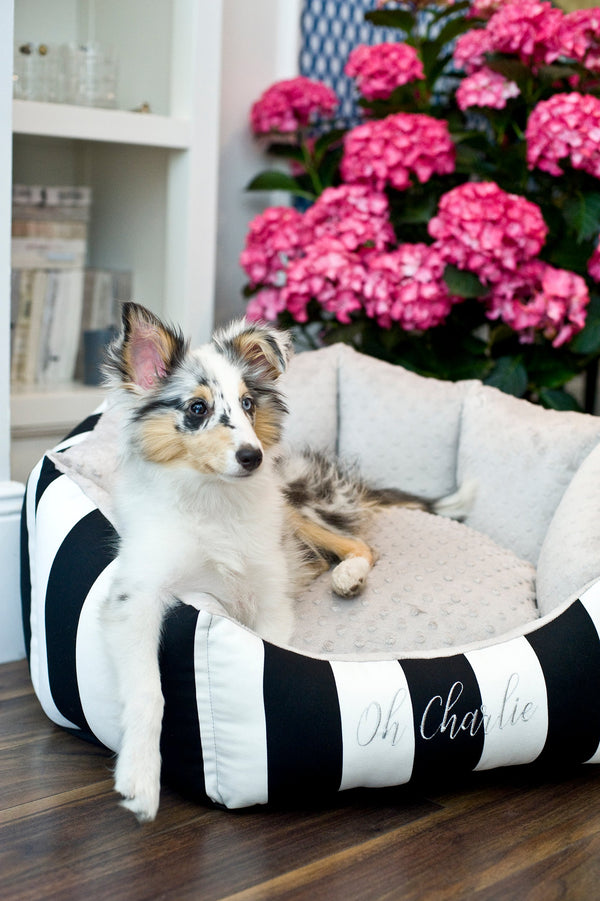 Oh Charlie Round Dog Bed Lisbon Dog Bed Oh Charlie Silver Circle Pets
