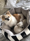 Oh Charlie Round Dog Bed Lisbon Dog Bed Oh Charlie Silver Circle Pets