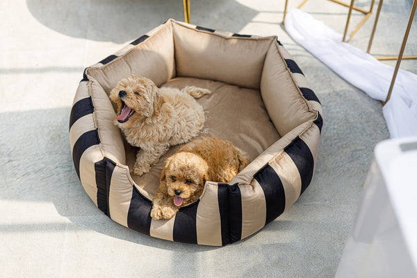 Oh Charlie Round Dog Bed Maison Dog Bed Oh Charlie Silver Circle Pets