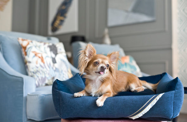 Oh Charlie Square Dog Bed Allure Dog Bed Oh Charlie Silver Circle Pets