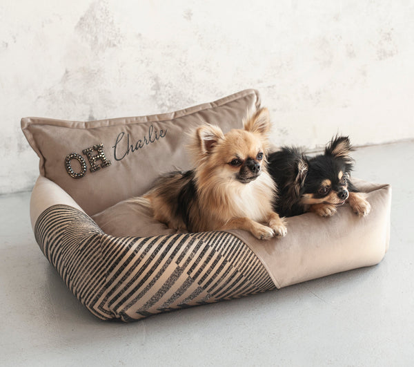 Oh Charlie Square Dog Bed Devine Dog Bed Oh Charlie Silver Circle Pets