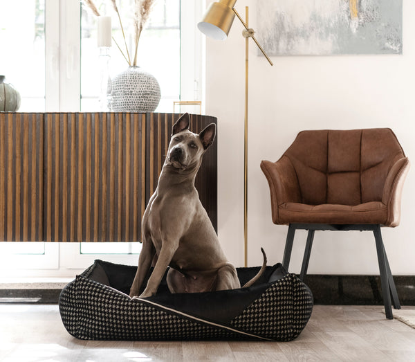 Oh Charlie Square Dog Bed Prestige Deluxe Dog Bed Oh Charlie Silver Circle Pets