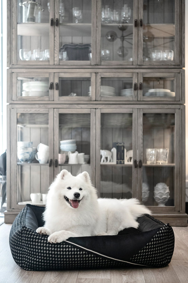 Oh Charlie Square Dog Bed Prestige Deluxe Dog Bed Oh Charlie Silver Circle Pets